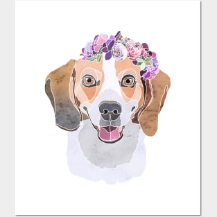 Beagle Posters and Art